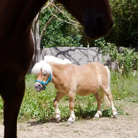 Semesterbostad Grande D'exception En Normandie Tennis, Piscine, Jacuzzi, Salle De Fitness Muids