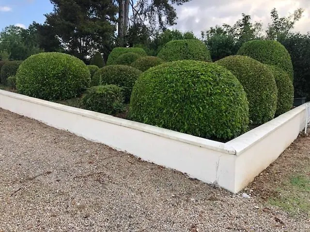 Grande D'exception En Normandie Tennis, Piscine, Jacuzzi, Salle De Fitness Dom wakacyjny *