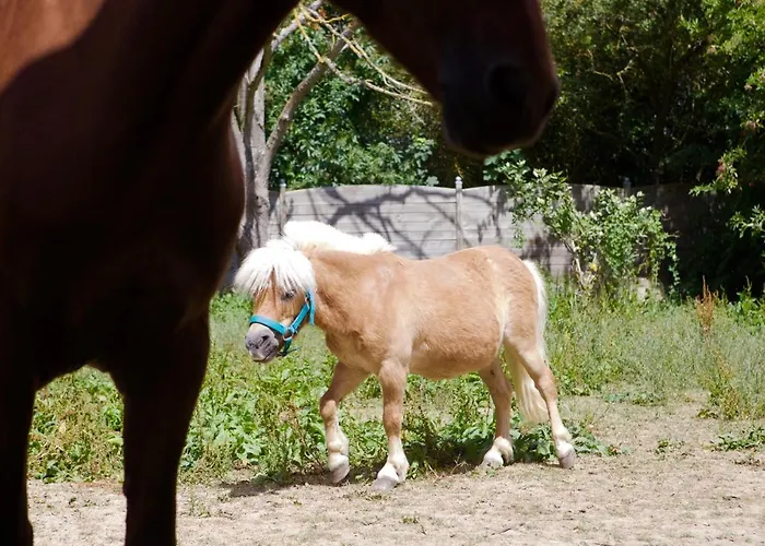 Dom wakacyjny Grande D'exception En Normandie Tennis, Piscine, Jacuzzi, Salle De Fitness Muids
