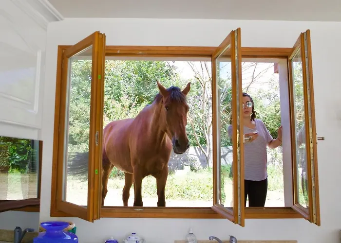 Grande D'exception En Normandie Tennis, Piscine, Jacuzzi, Salle De Fitness *